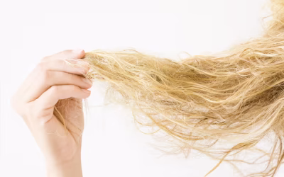 Quel Shampoing Pour Cheveux Secs ?