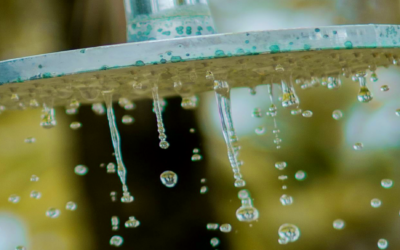 Quel est l&rsquo;impact de l’eau calcaire sur vos cheveux ?